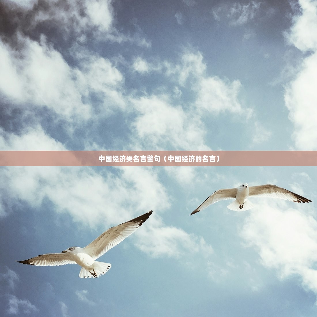 中国经济类名言警句（中国经济的名言）