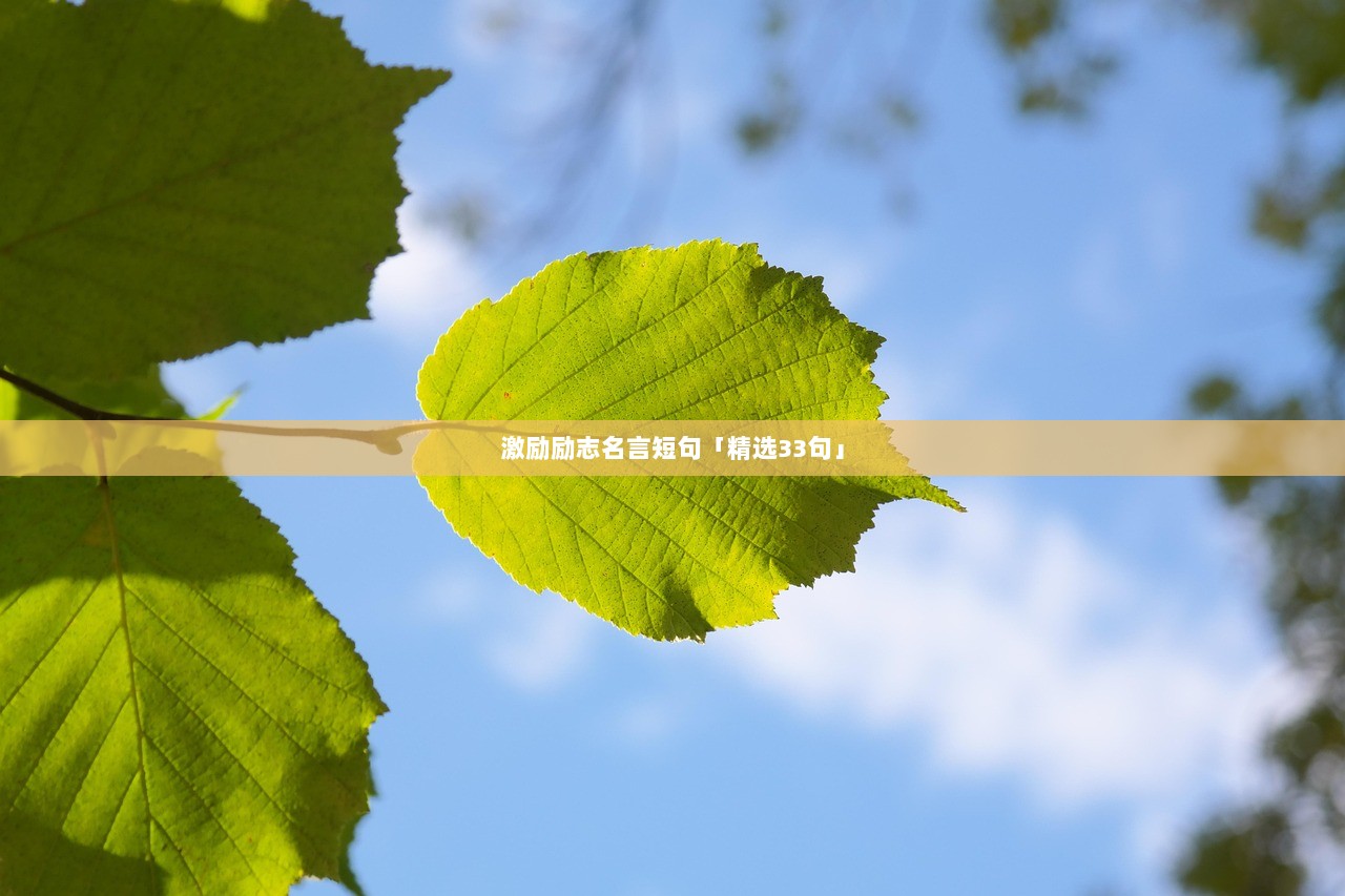 激励励志名言短句「精选33句」
