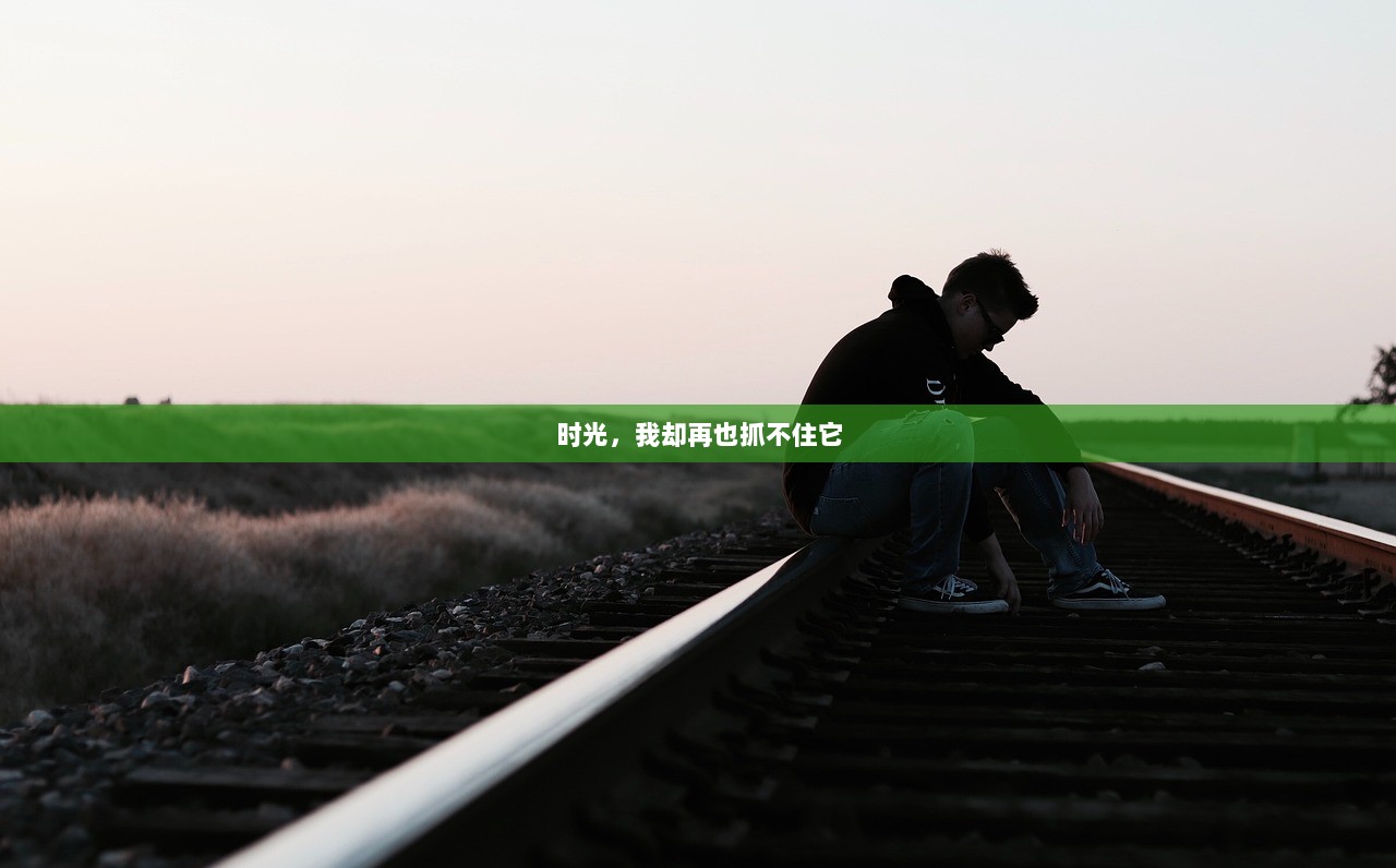 时光，我却再也抓不住它