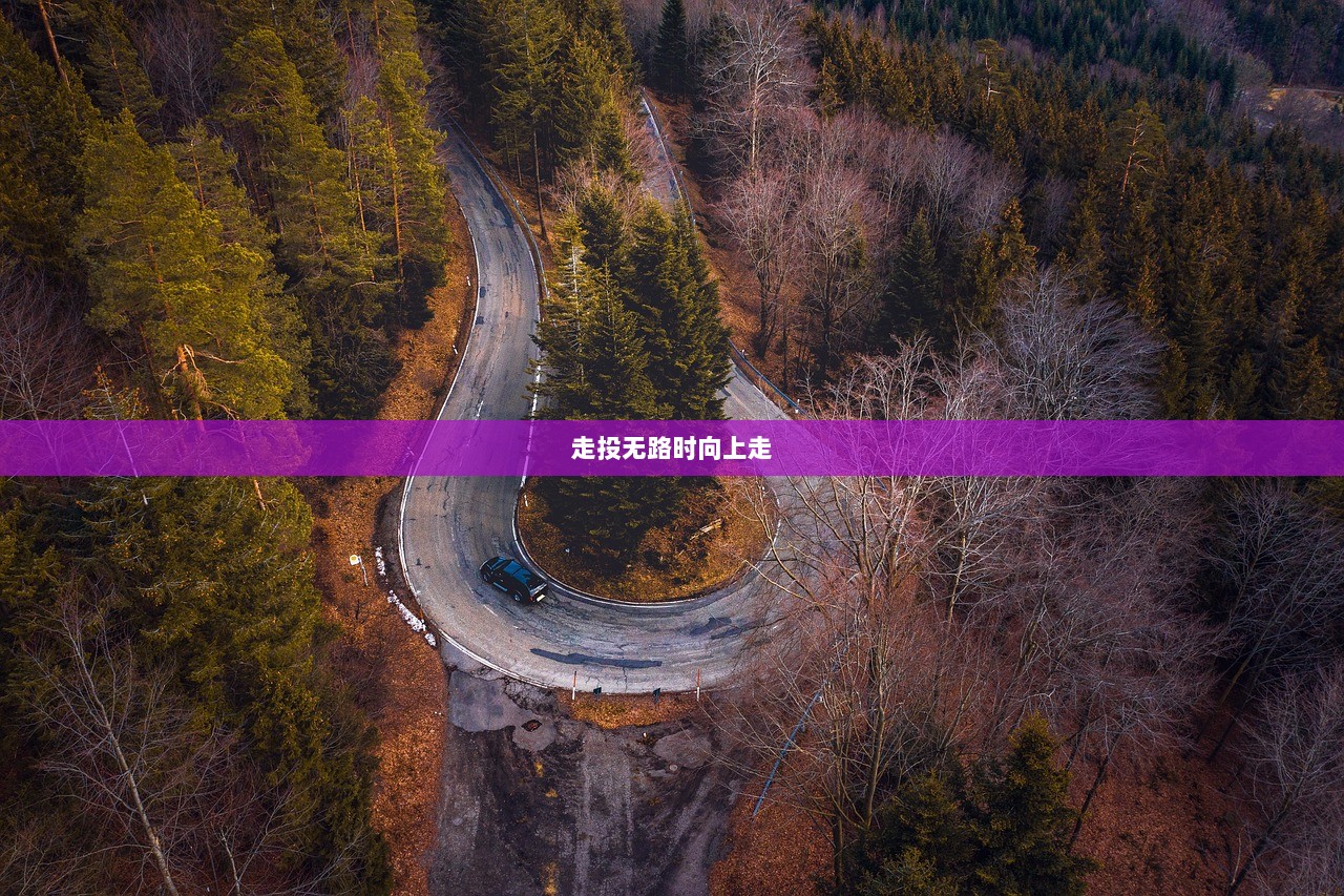 走投无路时向上走