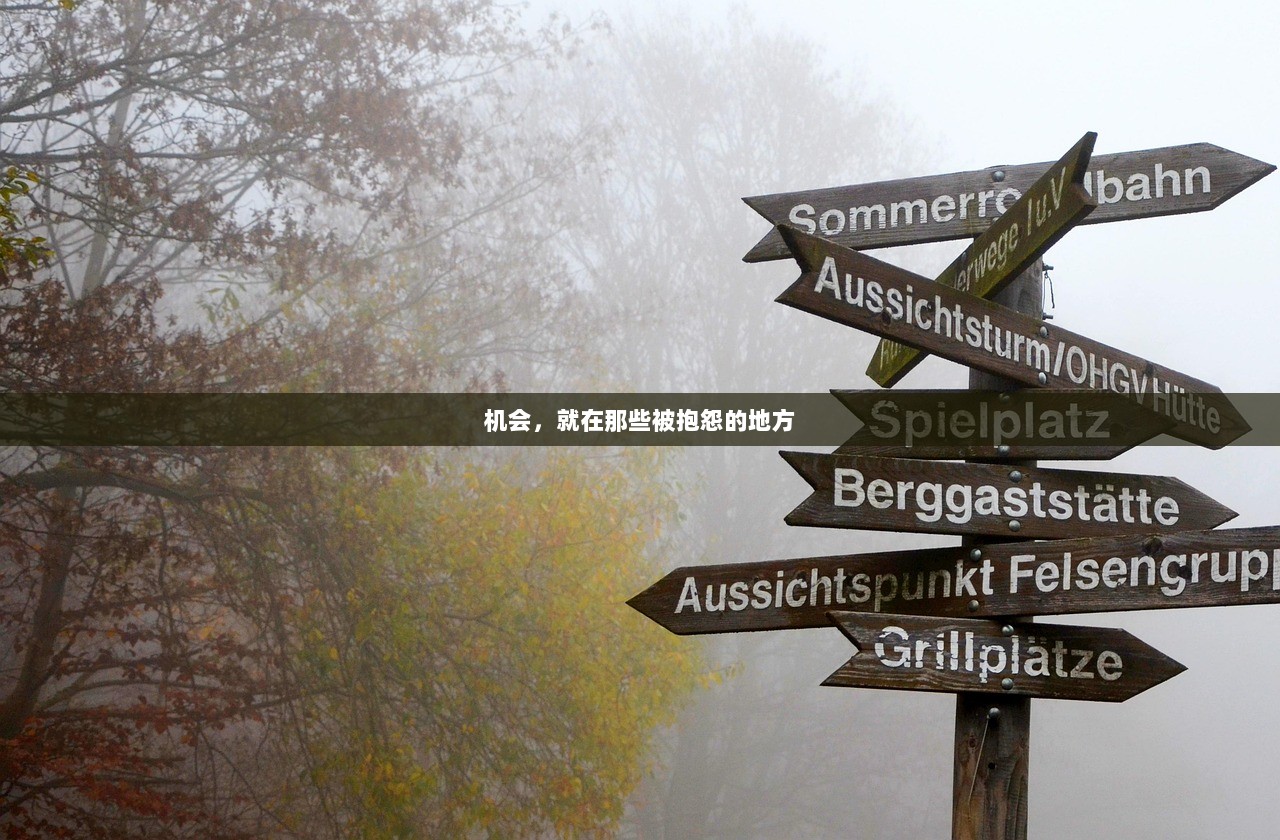 机会，就在那些被抱怨的地方