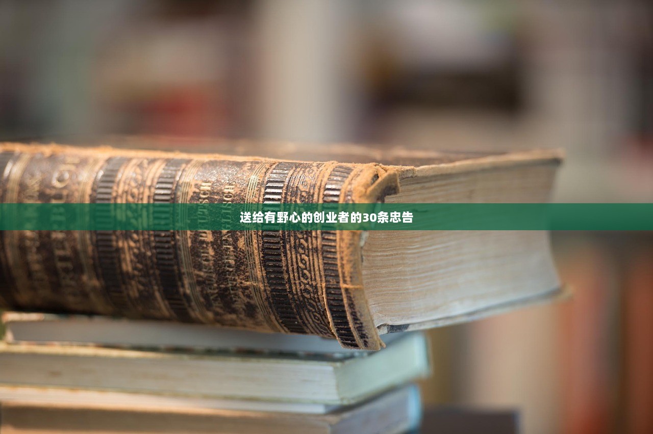 送给有野心的创业者的30条忠告  第1张