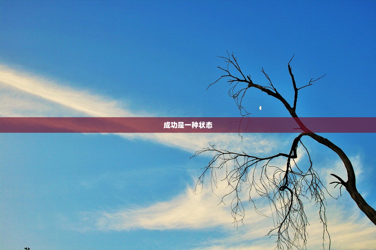 成功是一种状态