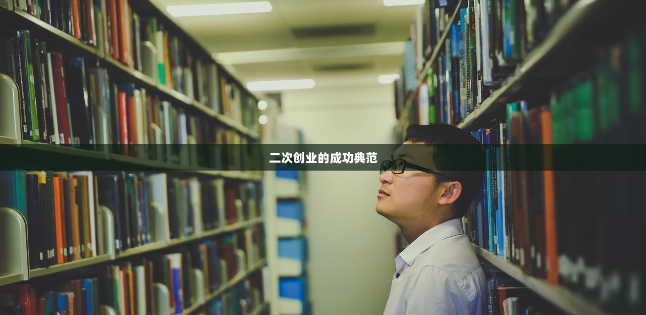 二次创业的成功典范