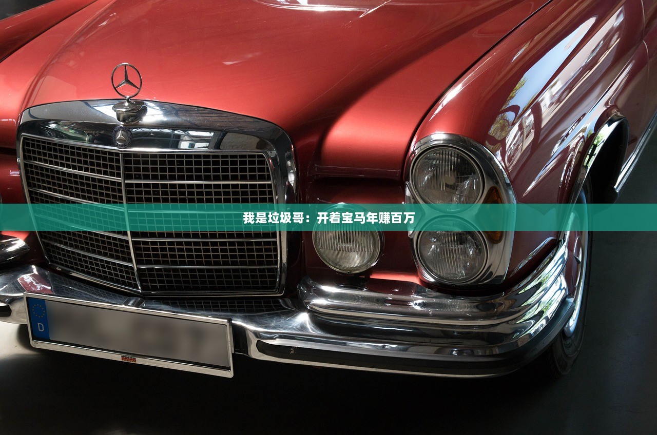 我是垃圾哥：开着宝马年赚百万