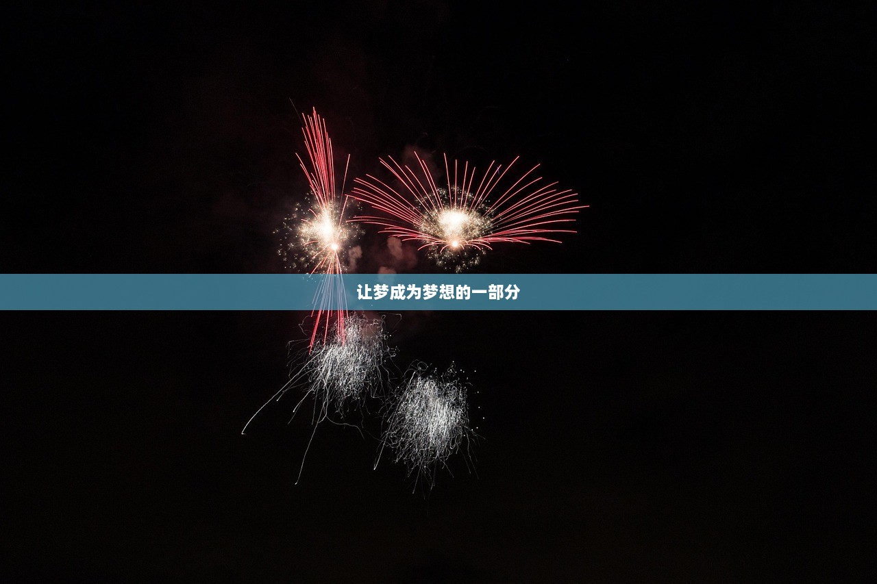 让梦成为梦想的一部分  第1张