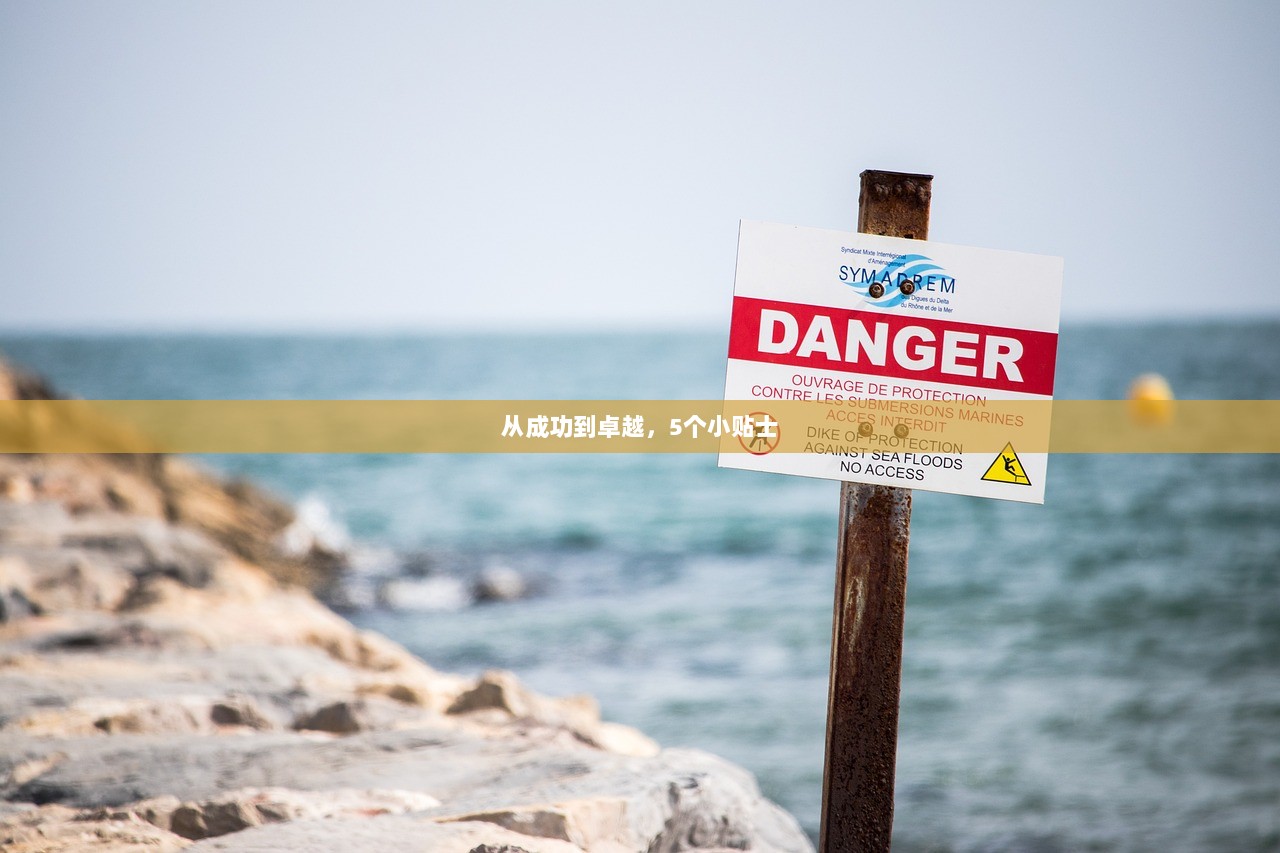 从成功到卓越，5个小贴士  第1张