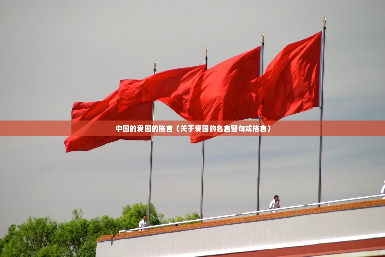 中国的爱国的格言（关于爱国的名言警句或格言）