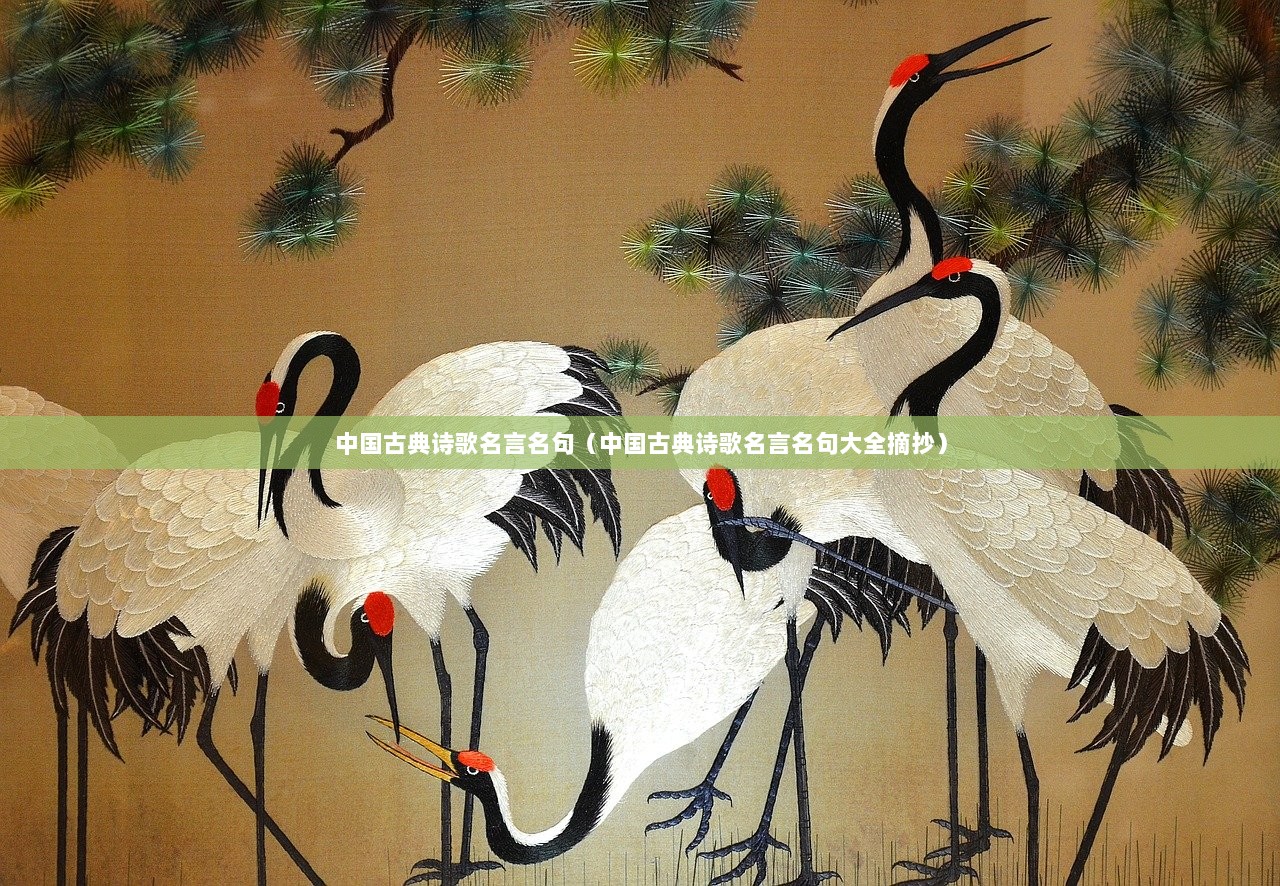 中国古典诗歌名言名句（中国古典诗歌名言名句大全摘抄）