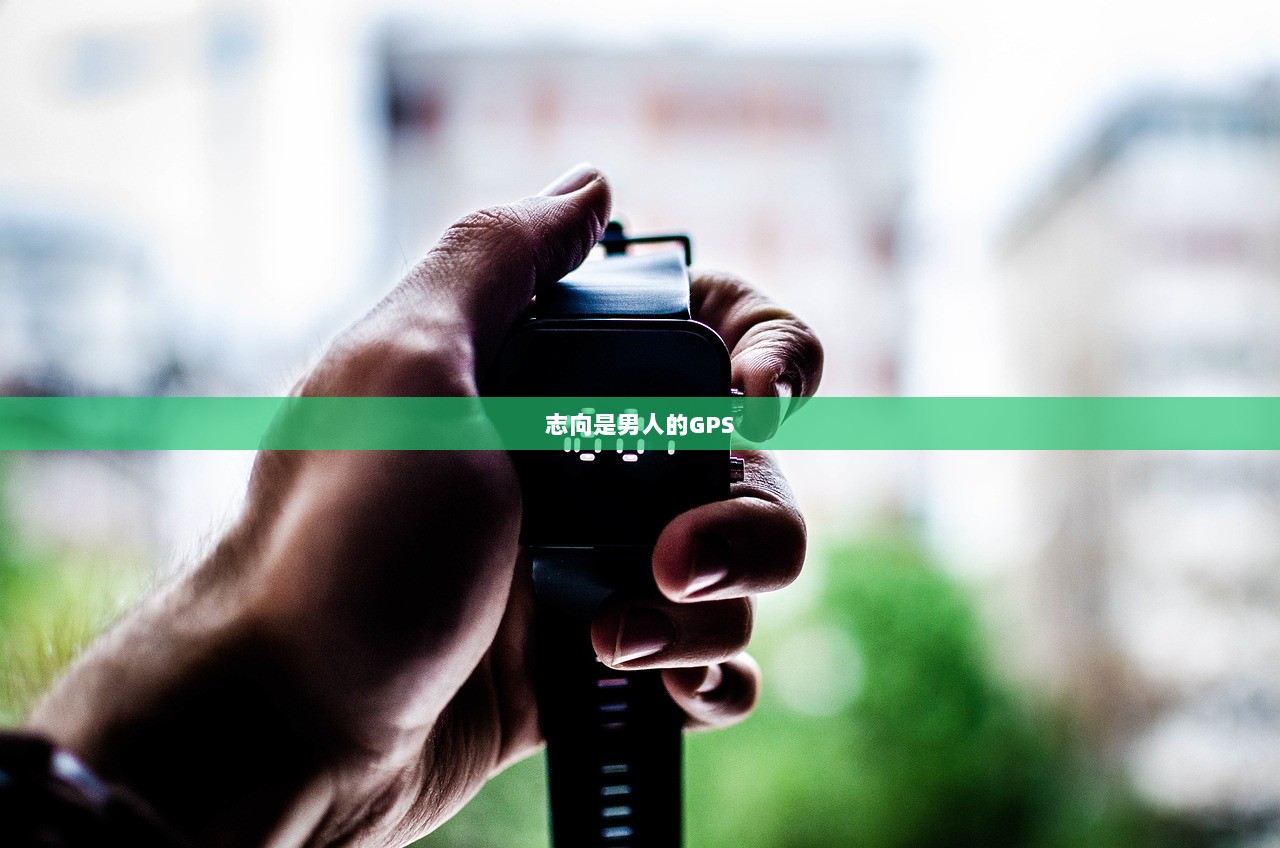 志向是男人的GPS