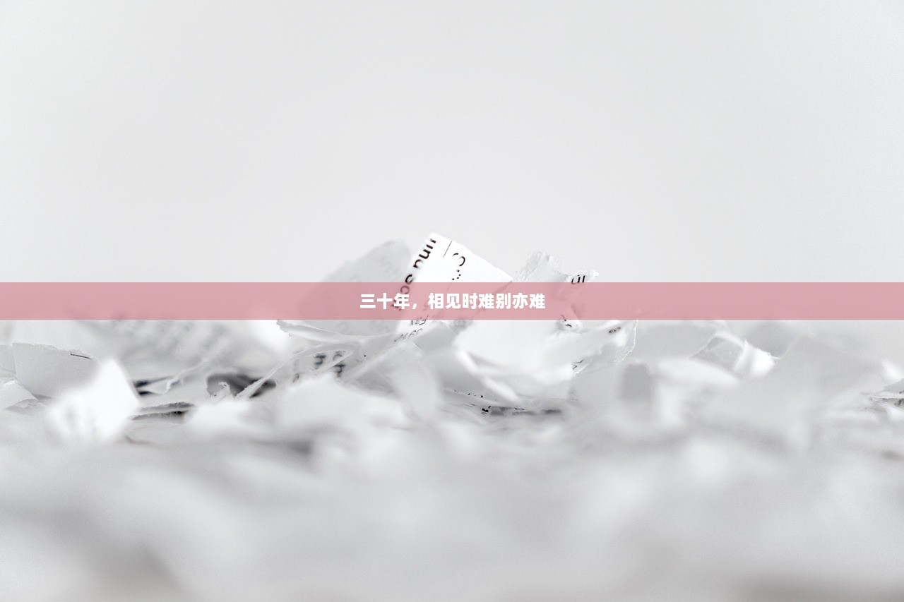 三十年，相见时难别亦难