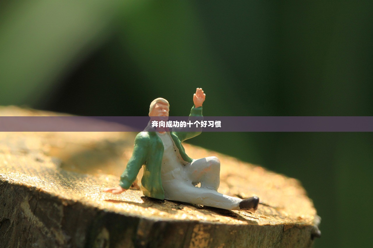 奔向成功的十个好习惯