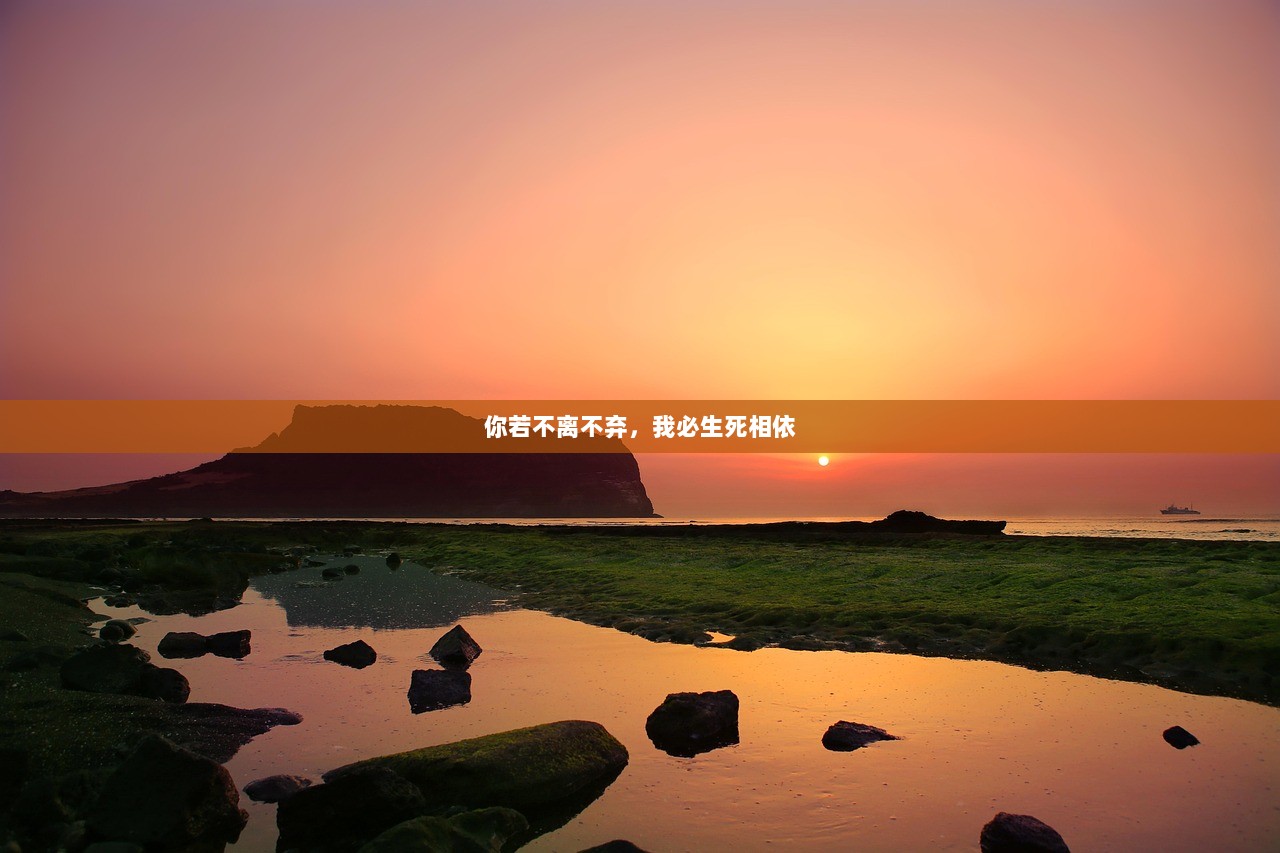 你若不离不弃，我必生死相依