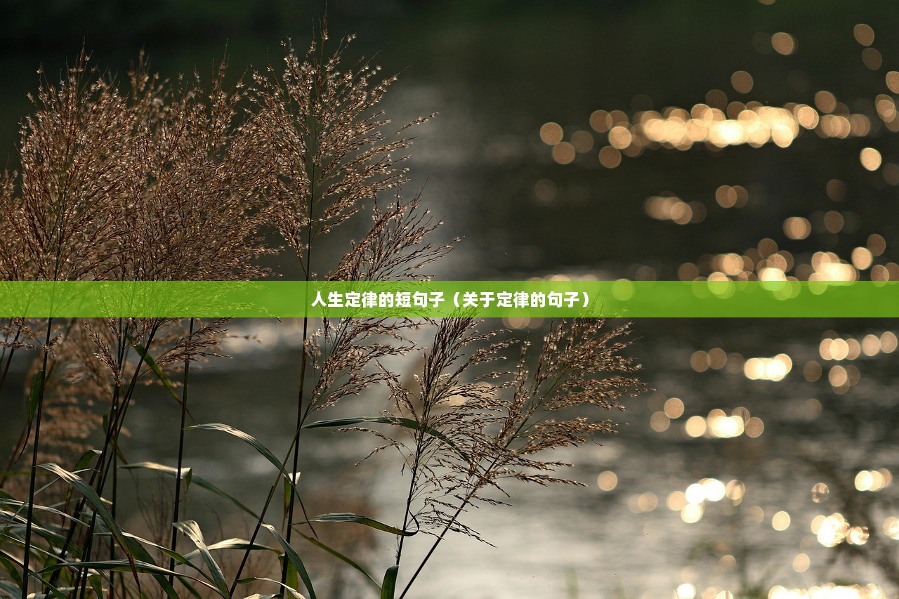 人生定律的短句子（关于定律的句子）
