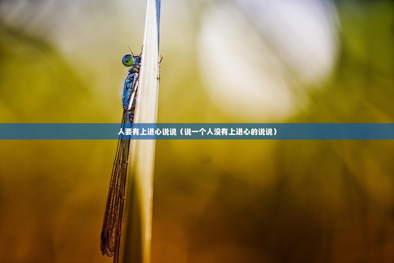 人要有上进心说说（说一个人没有上进心的说说）