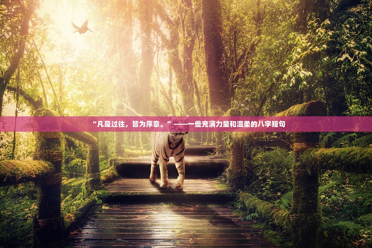 “凡是过往，皆为序章。”——一些充满力量和温柔的八字短句