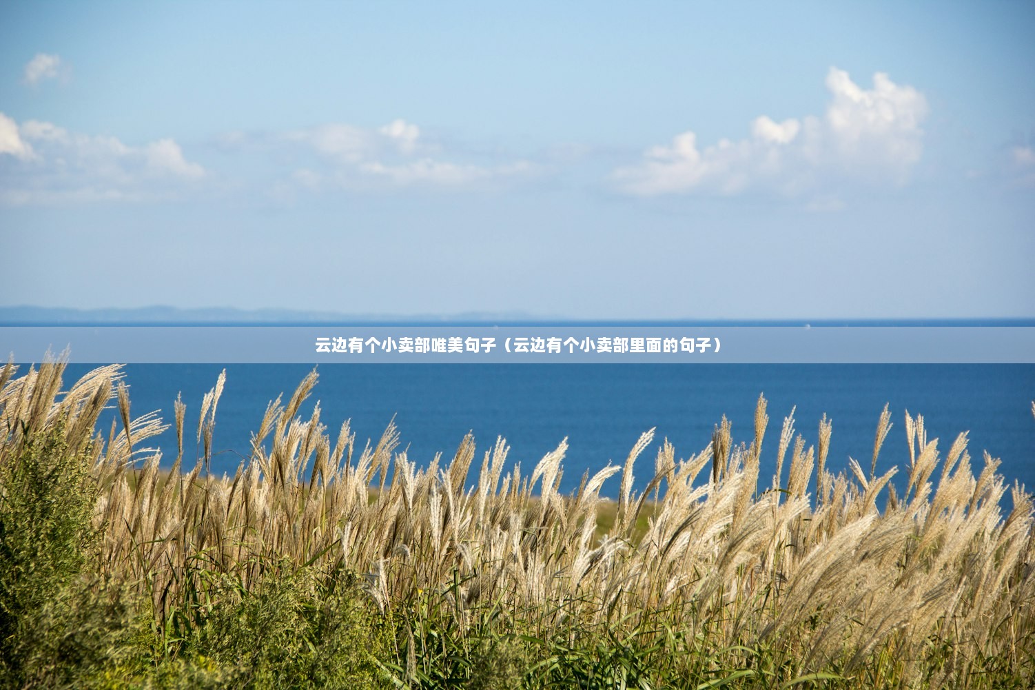 云边有个小卖部唯美句子（云边有个小卖部里面的句子）