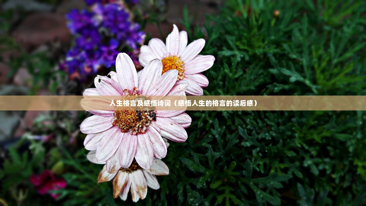 人生格言及感悟诗词（感悟人生的格言的读后感）