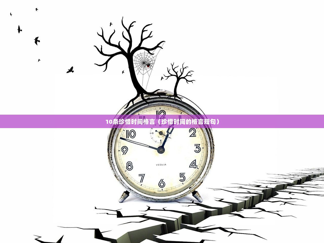 10条珍惜时间格言（珍惜时间的格言短句）