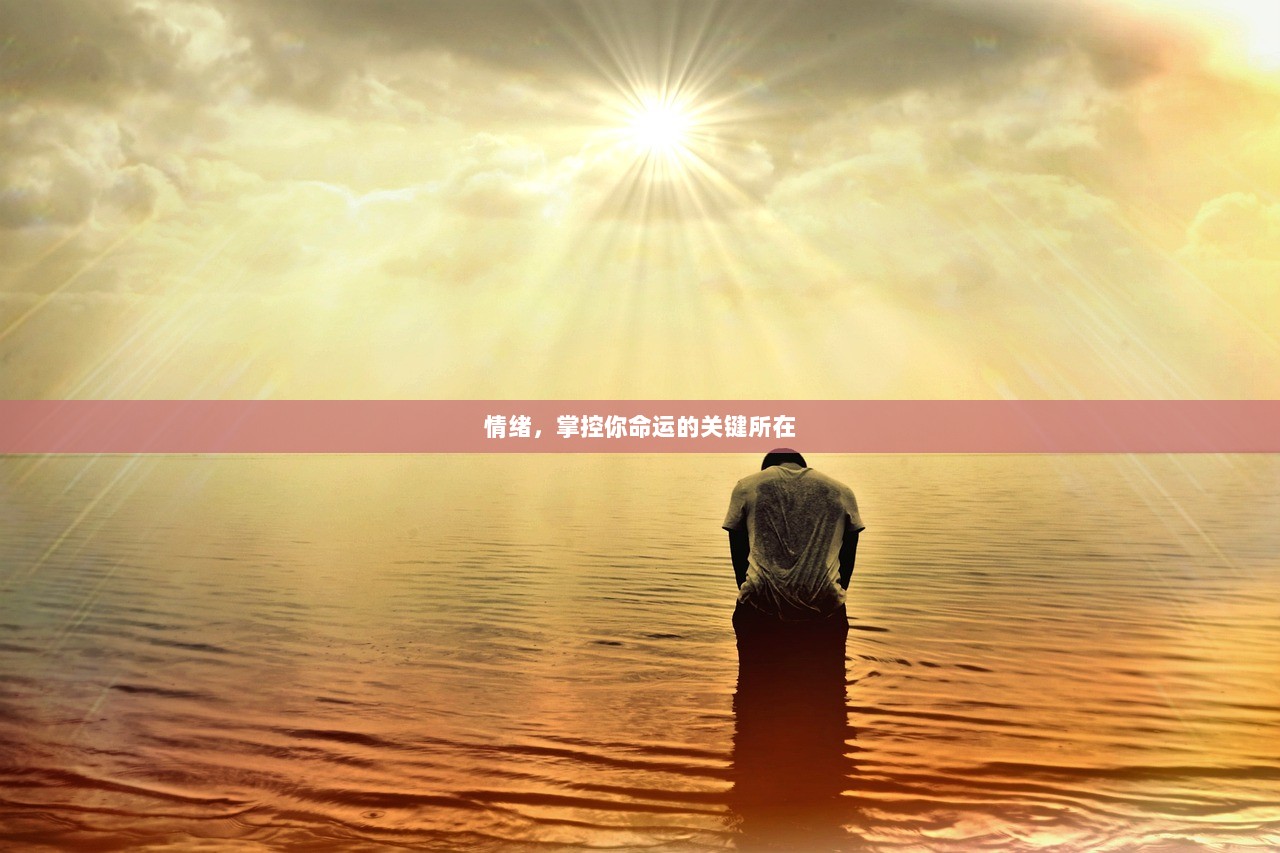情绪，掌控你命运的关键所在
