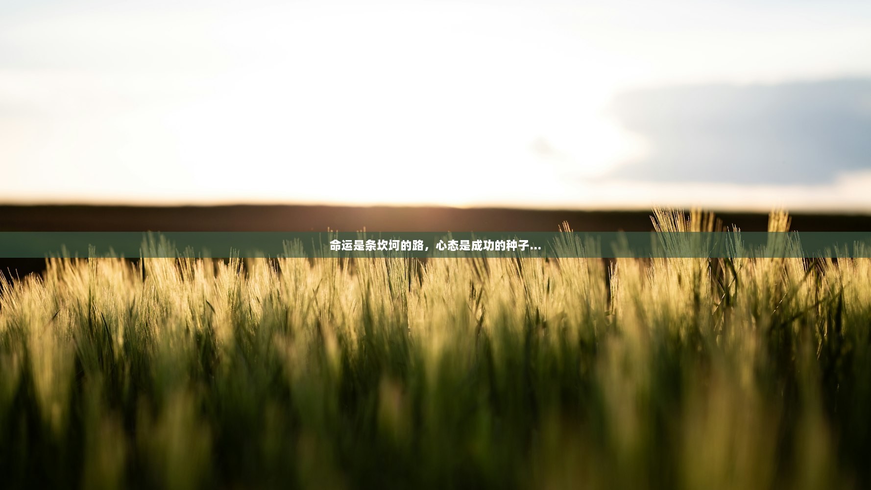 命运是条坎坷的路，心态是成功的种子…