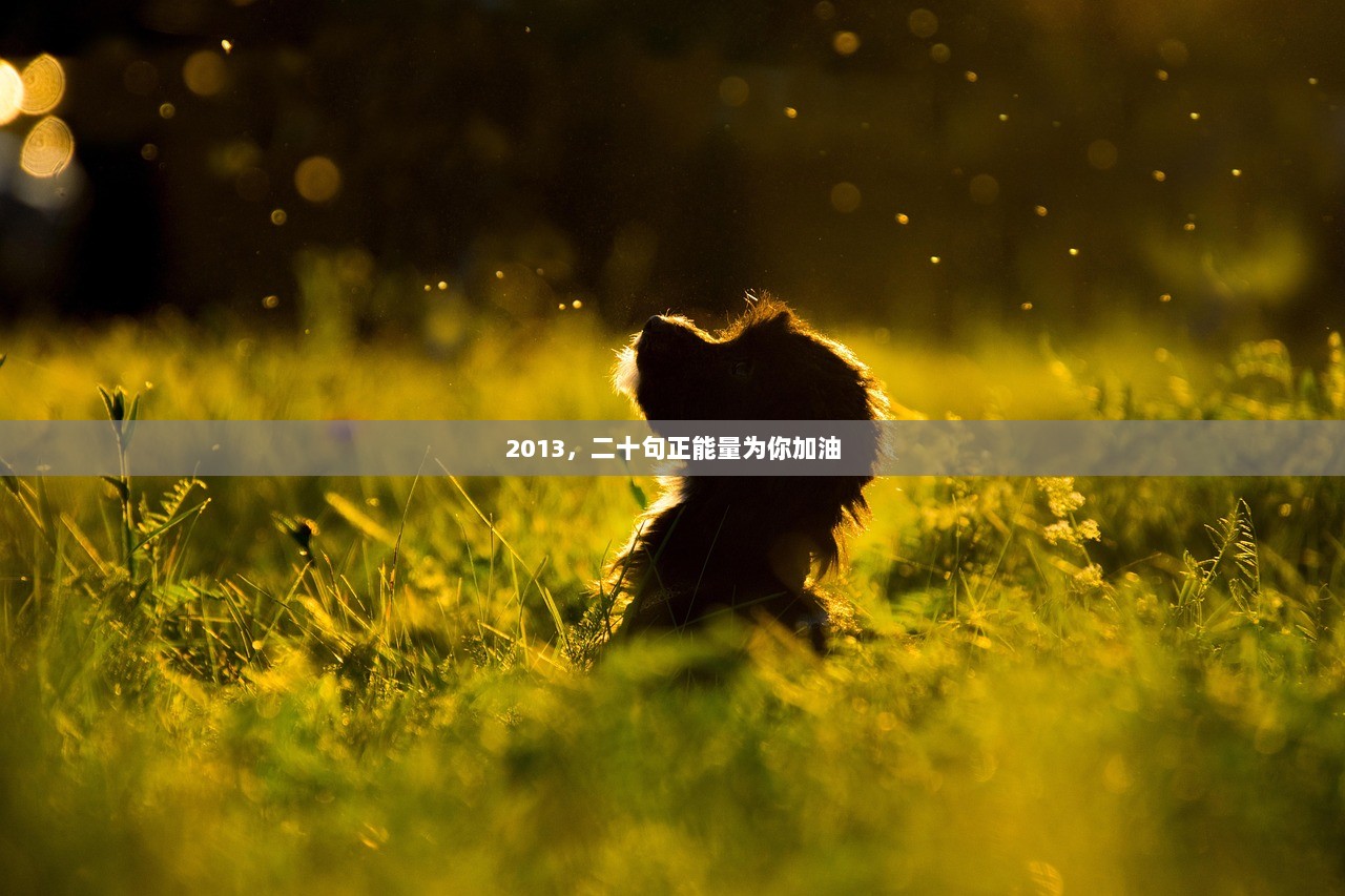 2013，二十句正能量为你加油