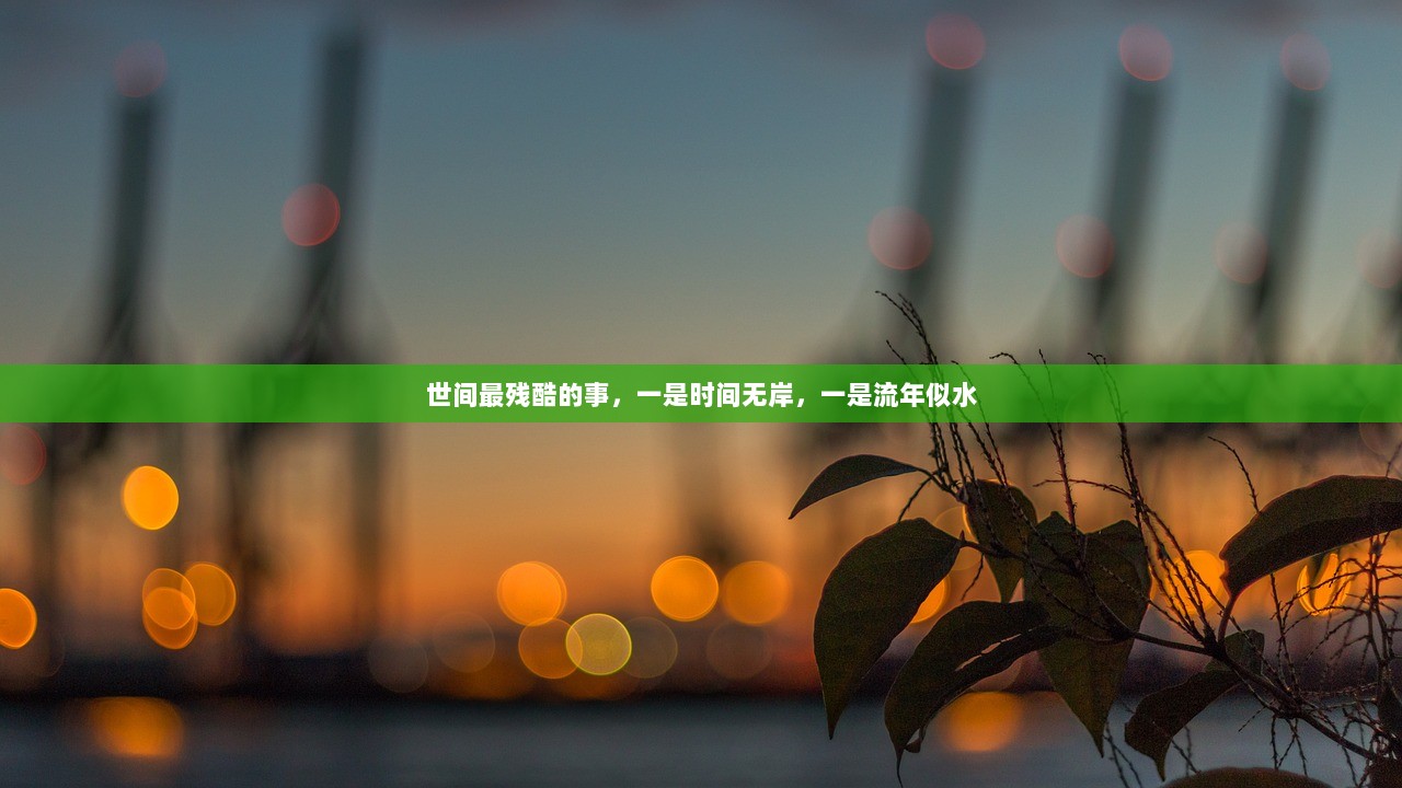 世间最残酷的事，一是时间无岸，一是流年似水