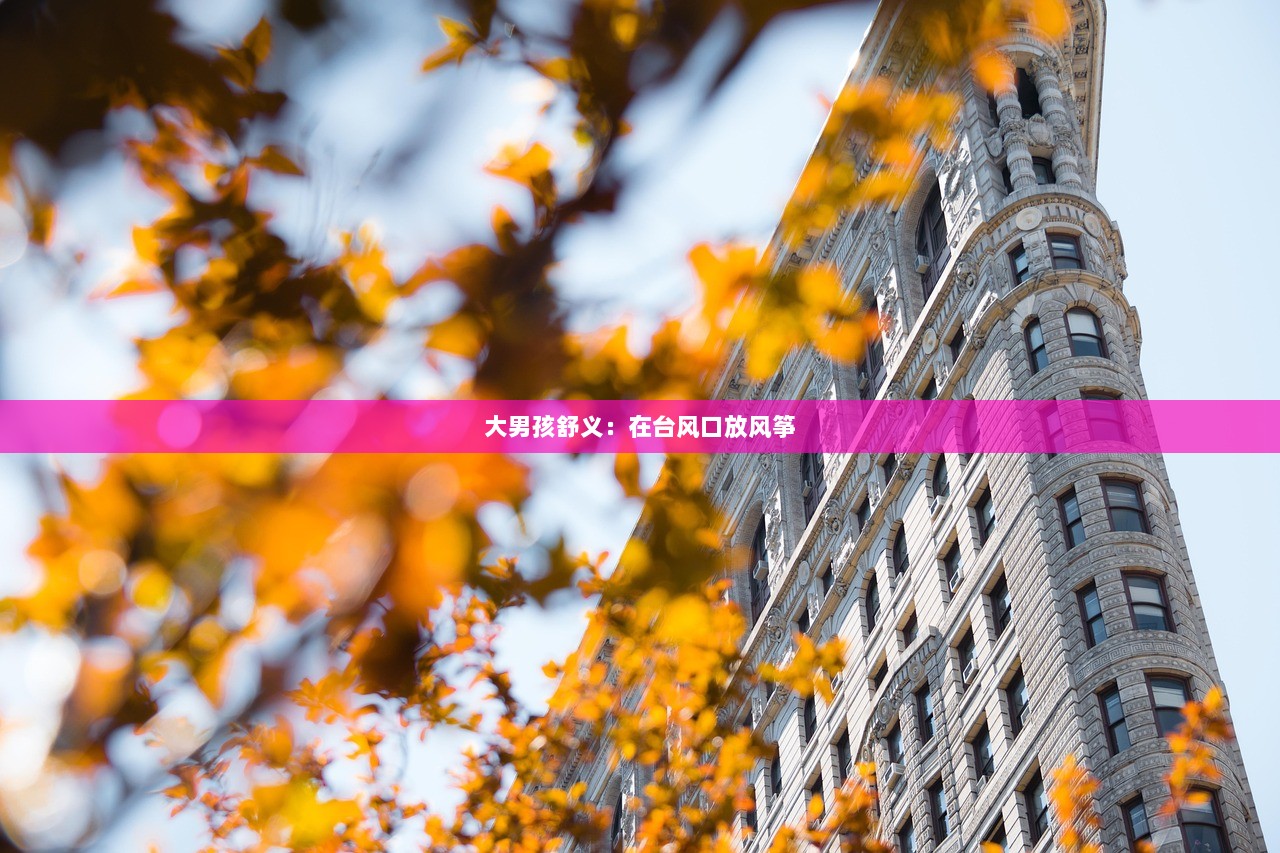 大男孩舒义：在台风口放风筝