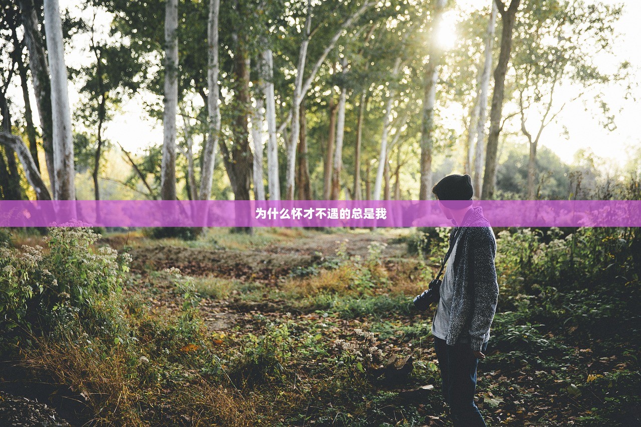 为什么怀才不遇的总是我