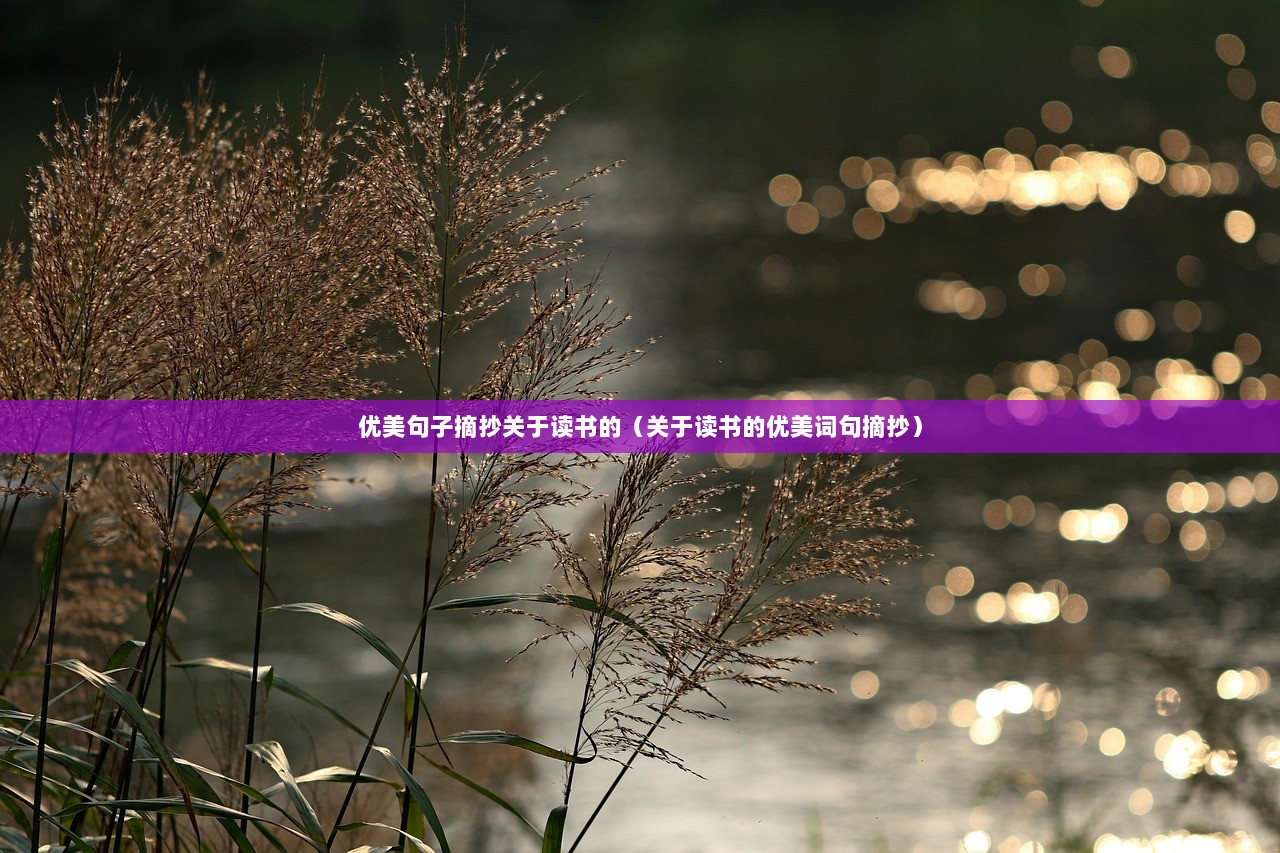 优美句子摘抄关于读书的（关于读书的优美词句摘抄）