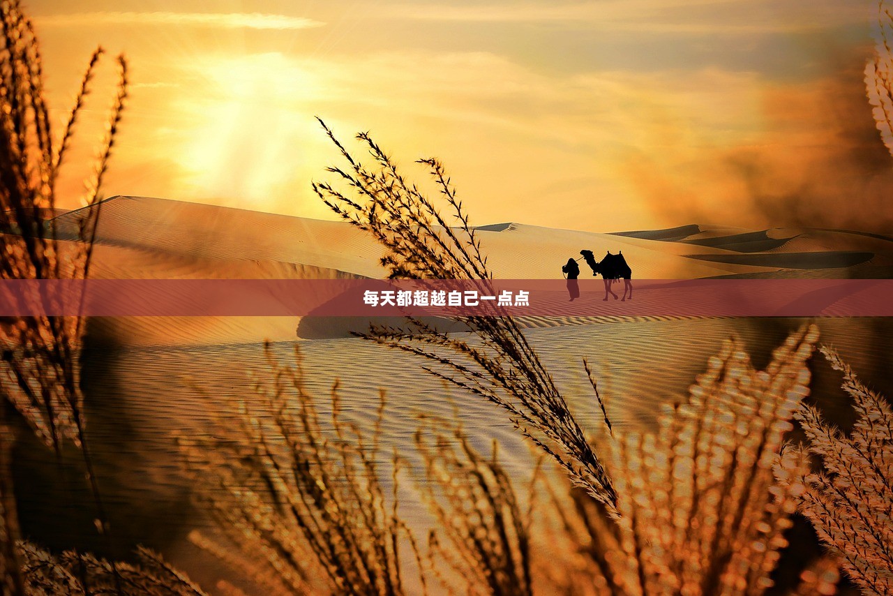 每天都超越自己一点点