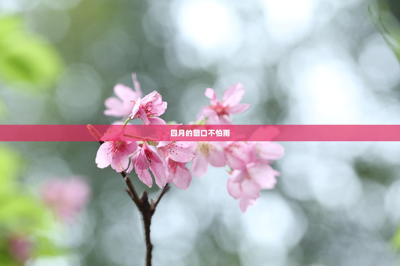 四月的窗口不怕雨  第1张