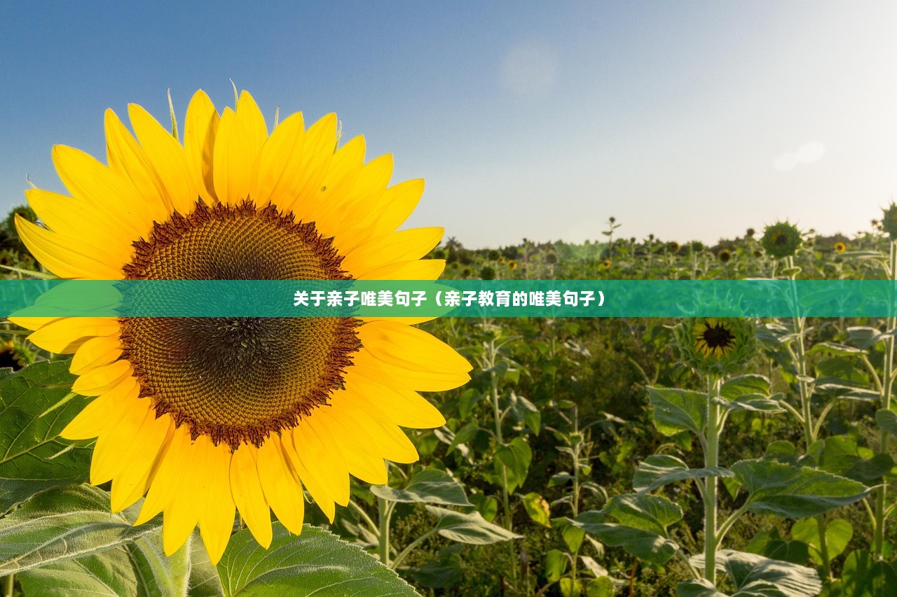 关于亲子唯美句子（亲子教育的唯美句子）