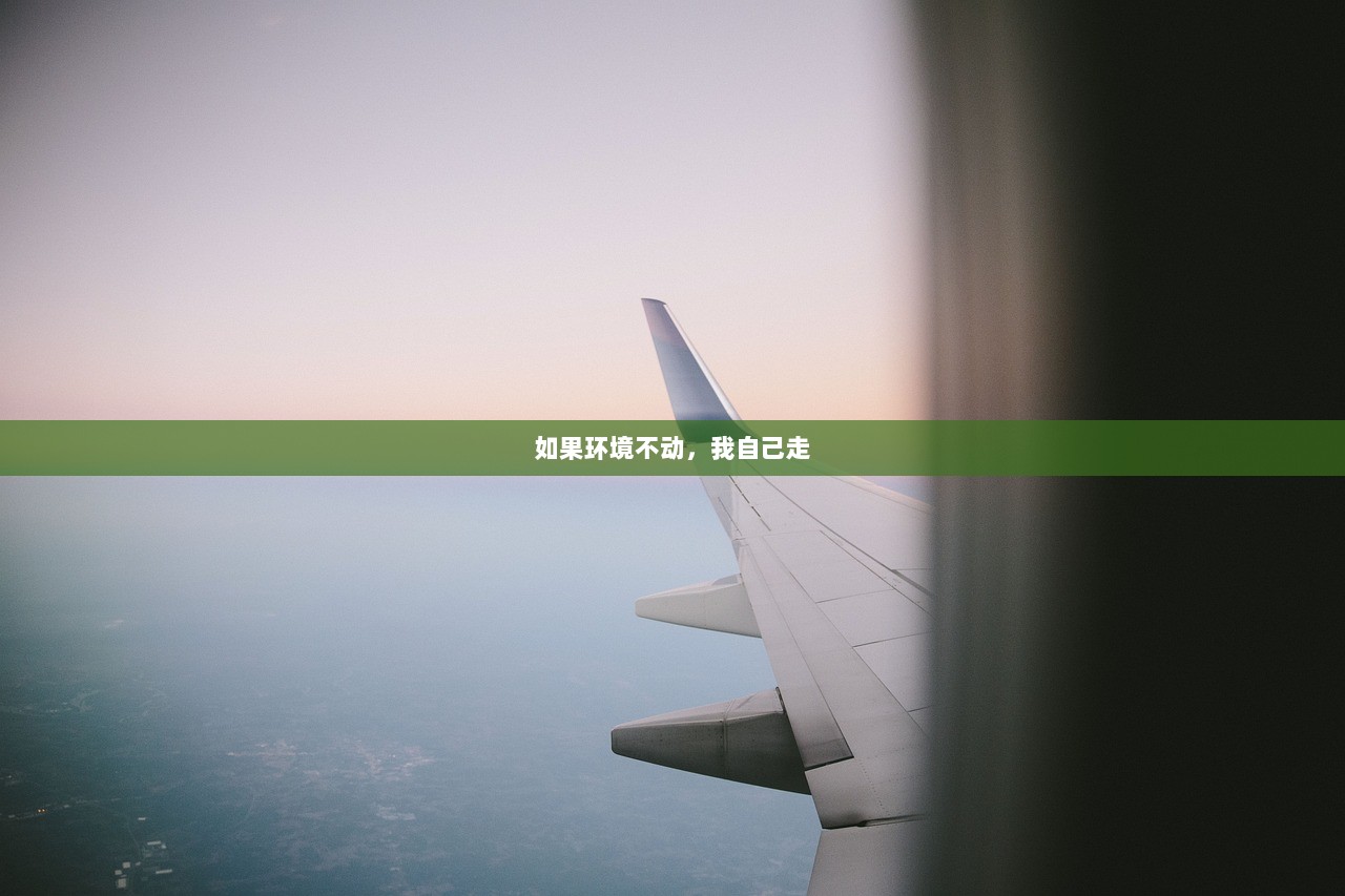 如果环境不动，我自己走