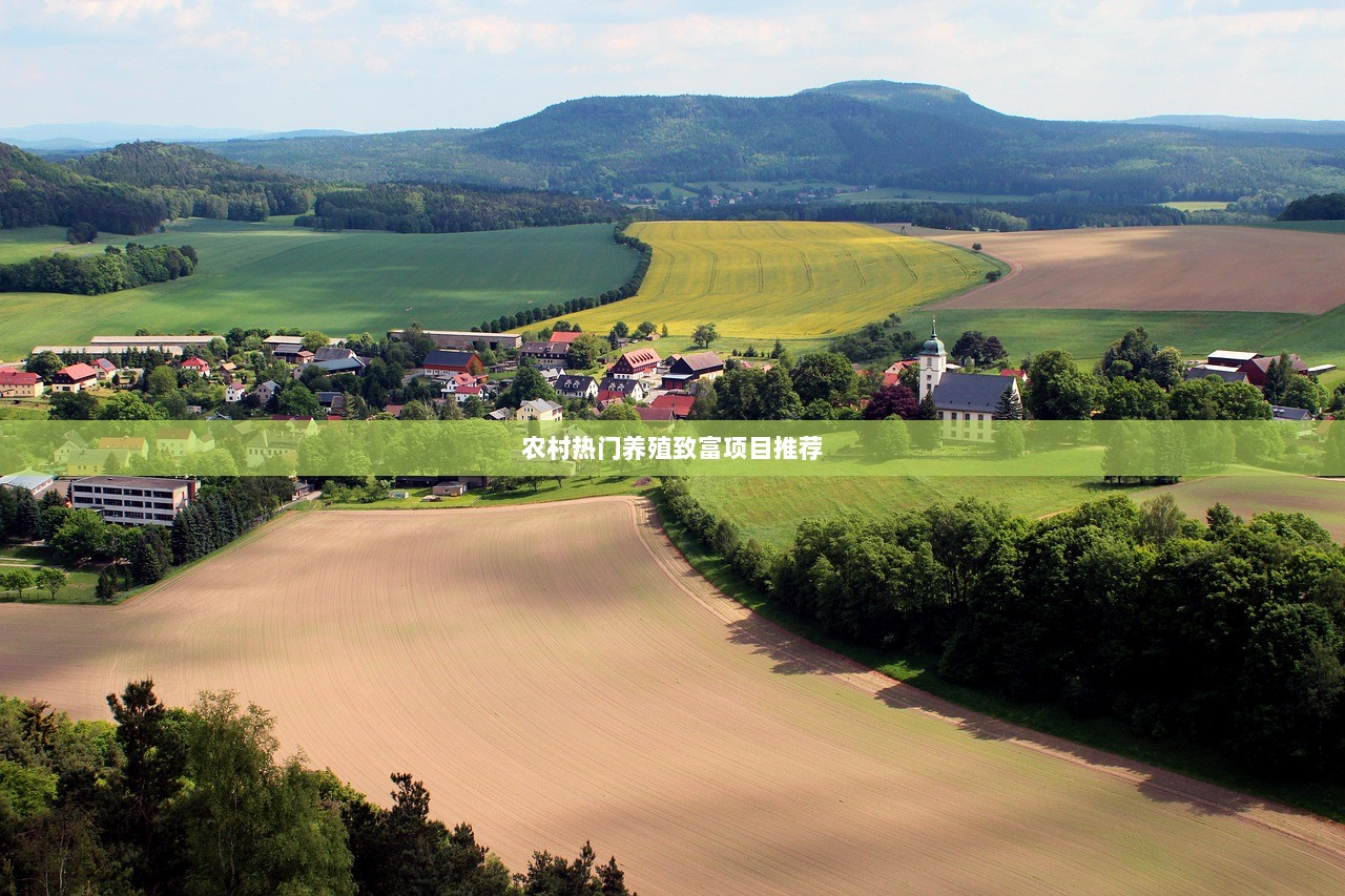 农村热门养殖致富项目推荐
