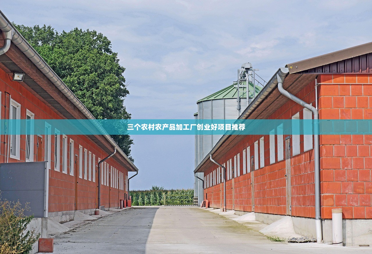 三个农村农产品加工厂创业好项目推荐