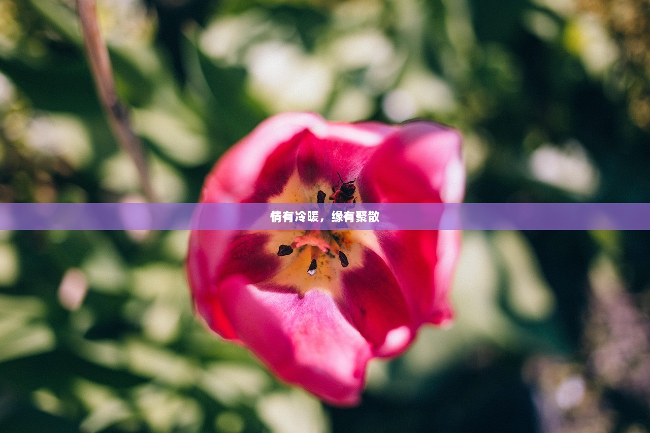 情有冷暖，缘有聚散