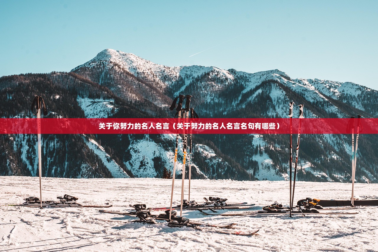 关于你努力的名人名言（关于努力的名人名言名句有哪些）