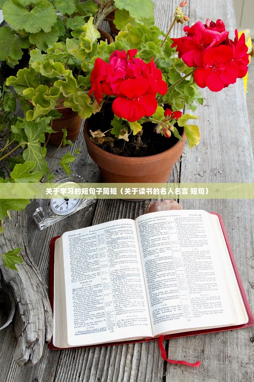 关于学习的短句子简短（关于读书的名人名言 短句）