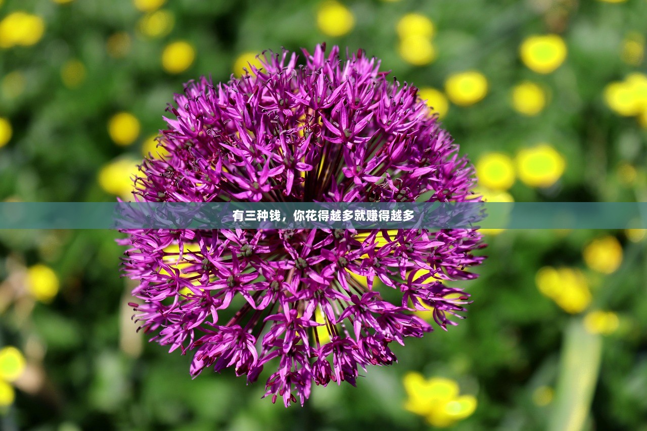 有三种钱，你花得越多就赚得越多
