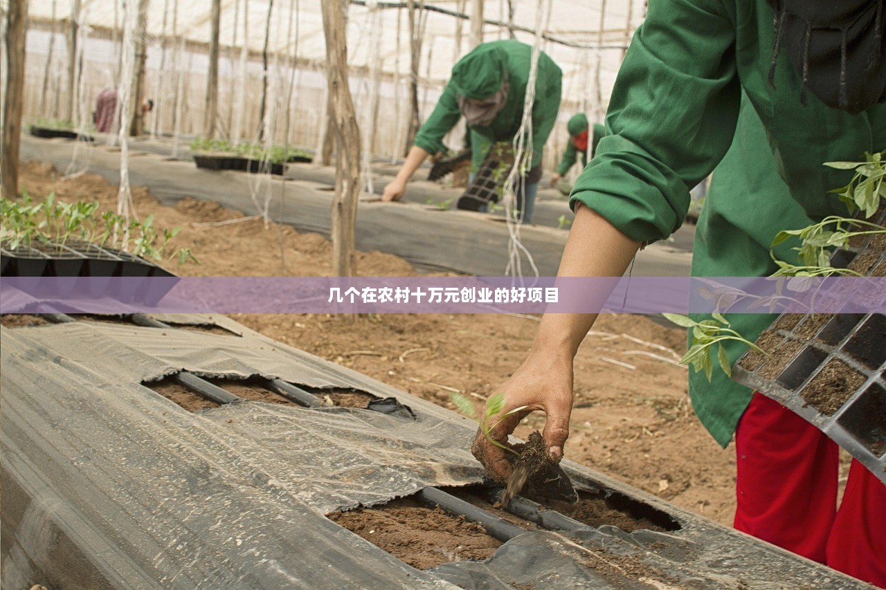 几个在农村十万元创业的好项目