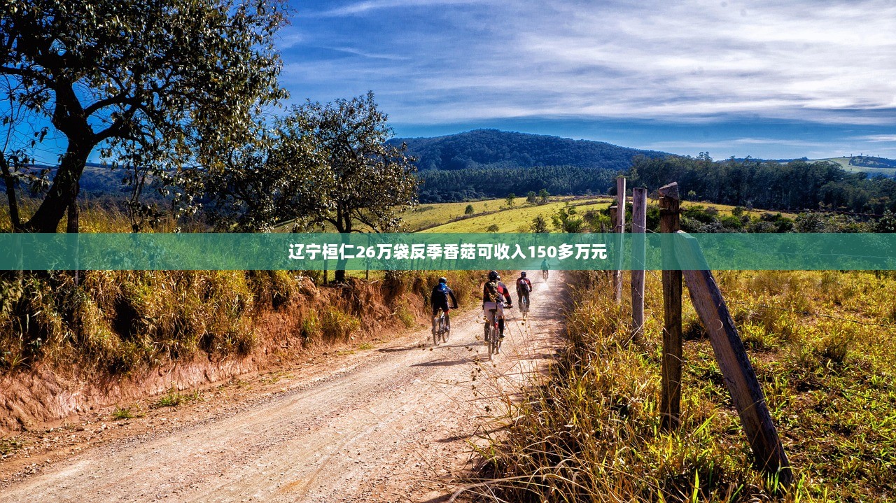 辽宁桓仁26万袋反季香菇可收入150多万元