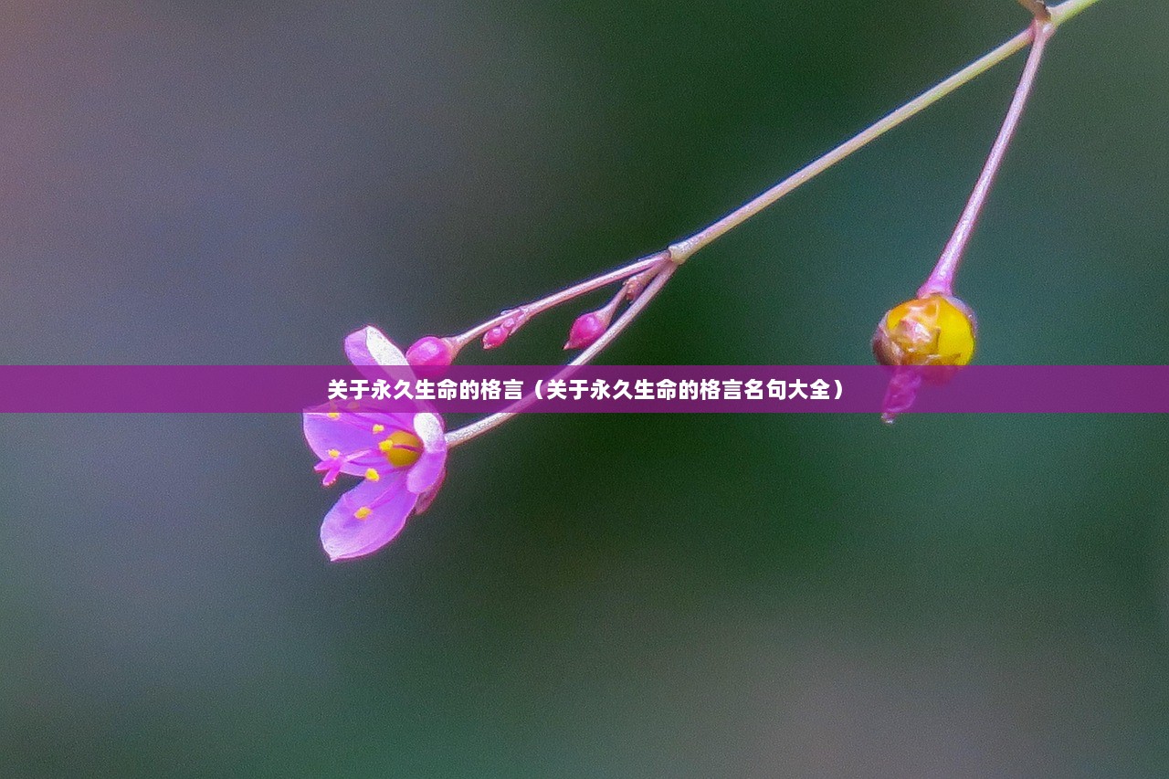 关于永久生命的格言（关于永久生命的格言名句大全）