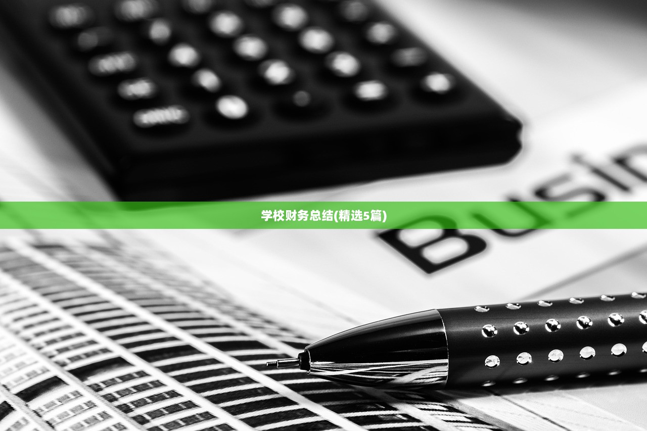 学校财务总结(精选5篇)
