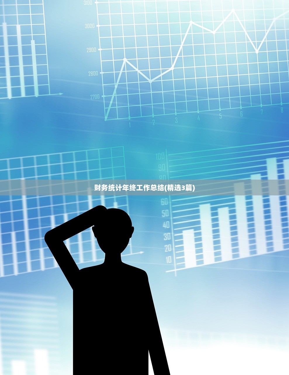 财务统计年终工作总结(精选3篇)  第1张