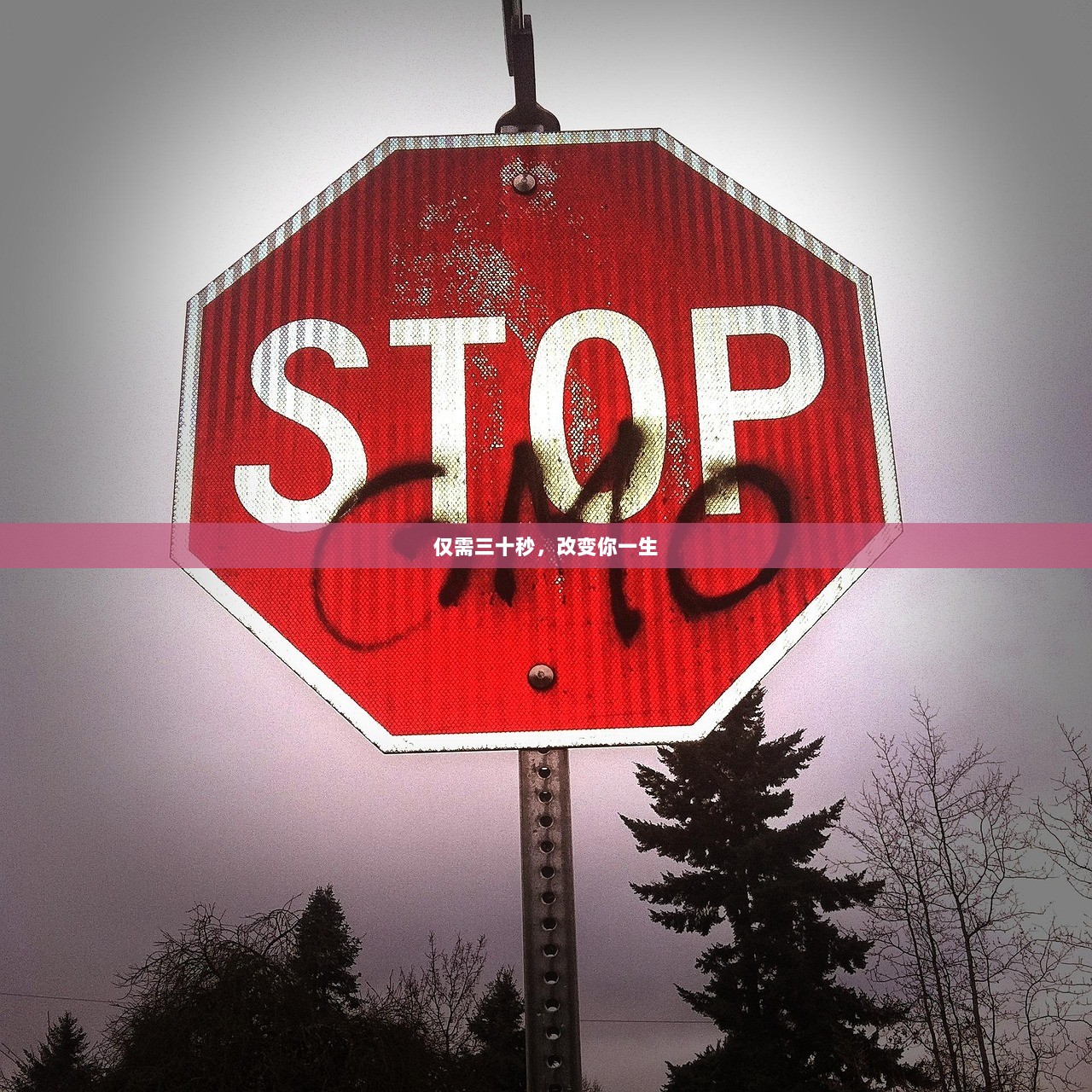 仅需三十秒，改变你一生