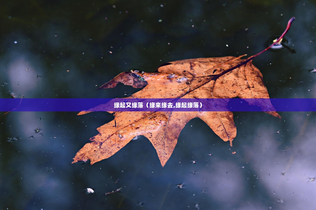 缘起又缘落（缘来缘去,缘起缘落）  第1张