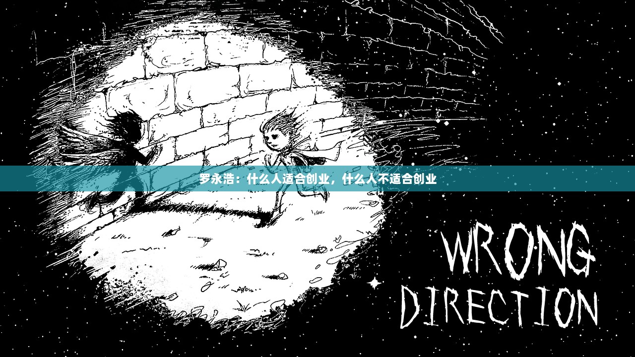 罗永浩：什么人适合创业，什么人不适合创业