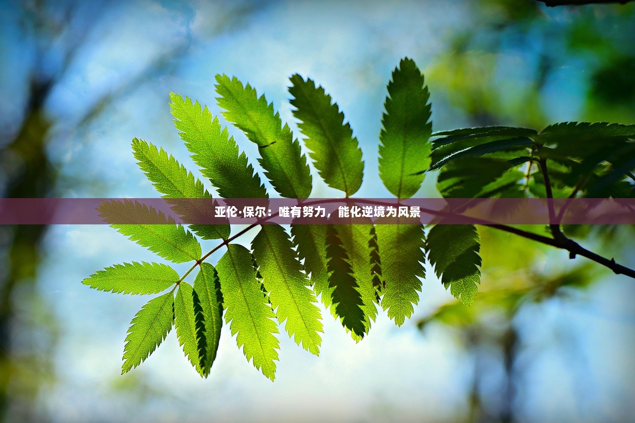 亚伦·保尔：唯有努力，能化逆境为风景