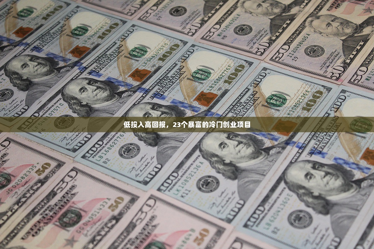 低投入高回报，23个暴富的冷门创业项目  第1张